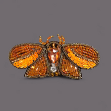 Charger l'image dans la galerie, Broche Pyra