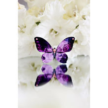 Charger l&#39;image dans la galerie, MADAM BUTTERFLY BUTTERFLY Broche
